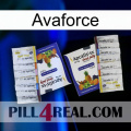 Avaforce 12